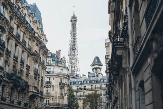 agence immobiliere